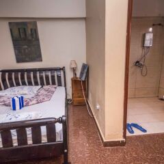 Giraffe Park Hotel комната для гостей фото 5