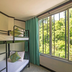 Отель Green House Hotel Таиланд, Краби - отзывы, цены и фото номеров - забронировать отель Green House Hotel онлайн комната для гостей