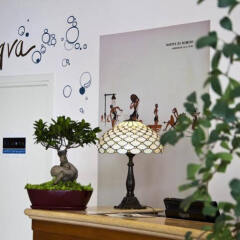 Hotel Sovrana & Re Aqva SPA интерьер отеля фото 3