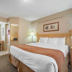 Отель Comfort Inn & Suites North Vancouver Канада, Аптаун - отзывы, цены и фото номеров - забронировать отель Comfort Inn & Suites North Vancouver онлайн комната для гостей