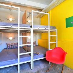 Adventure Hostel детские мероприятия фото 2