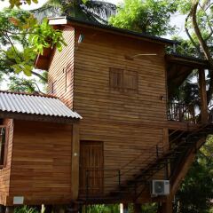 Отель Wilpattu Tree House Hotel Шри-Ланка, Анурадхапура - отзывы, цены и фото номеров - забронировать отель Wilpattu Tree House Hotel онлайн комната для гостей фото 2