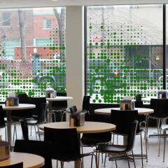 Отель Chestnut Residence and Conference Centre - University of Toronto гостиничный бар