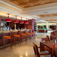 Gran Hotel Elba Estepona Thalasso & Spa гостиничный бар