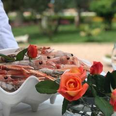 Отель Tropikal Resort Албания, Дуррес - отзывы, цены и фото номеров - забронировать отель Tropikal Resort онлайн питание
