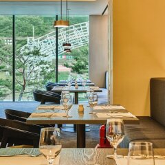 Отель Phoenix Pyeongchang Hotel Южная Корея, Пхёнчан - отзывы, цены и фото номеров - забронировать отель Phoenix Pyeongchang Hotel онлайн в номере фото 2