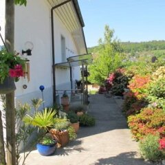 Отель Gsundsport Bed And Breakfast Швейцария, Мури-Берн - отзывы, цены и фото номеров - забронировать отель Gsundsport Bed And Breakfast онлайн
