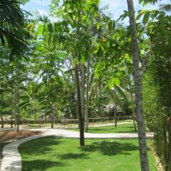 Отель Palm View Villa фото 11