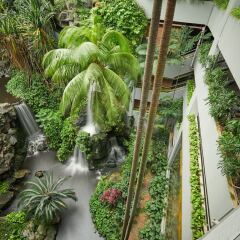 Отель Grand Hyatt Singapore Сингапур, Сингапур - 1 отзыв об отеле, цены и фото номеров - забронировать отель Grand Hyatt Singapore онлайн фото 5
