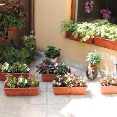Отель Guest House Solo Шумен помещение для мероприятий