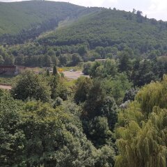 Отель Vanadzor Armenia Health Resort Армения, Дзорагет - отзывы, цены и фото номеров - забронировать отель Vanadzor Armenia Health Resort онлайн фото 9