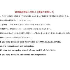Отель Yaoji Hakata Hotel Япония, Хаката - отзывы, цены и фото номеров - забронировать отель Yaoji Hakata Hotel онлайн с домашними животными