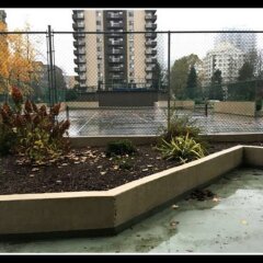 Отель Executive Suites in Burnaby Lake Канада, Бурнаби - отзывы, цены и фото номеров - забронировать отель Executive Suites in Burnaby Lake онлайн фото 5