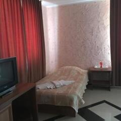 Отель Family Hotel Yola Болгария, Чепеларе - отзывы, цены и фото номеров - забронировать отель Family Hotel Yola онлайн комната для гостей фото 3