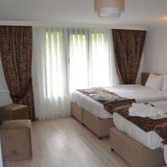 Loren Hotel Suites Турция, Стамбул - отзывы, цены и фото номеров - забронировать отель Loren Hotel Suites онлайн комната для гостей фото 5