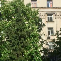 Апартаменты Apartments next to Opera балкон