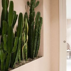 Отель B&B Blanc интерьер отеля фото 2