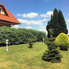 Апартаменты Hevizquelle Apartments Хевиз фото 10