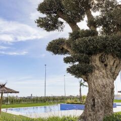 Отель Terrazas de Campoamor фото 2
