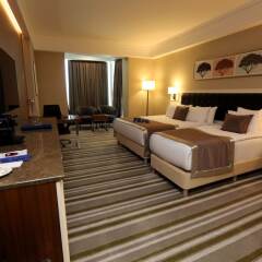 Radisson Blu Hotel Diyarbakir Турция, Диярбакыр - отзывы, цены и фото номеров - забронировать отель Radisson Blu Hotel Diyarbakir онлайн удобства в номере