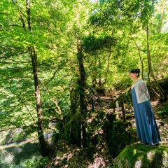 Отель Kiya Ryokan Мисаса приотельная территория