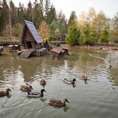 Гостиница Гостиничный комплекс Country Resort в Вербилках 8 отзывов об отеле, цены и фото номеров - забронировать гостиницу Гостиничный комплекс Country Resort онлайн Вербилки приотельная территория фото 2