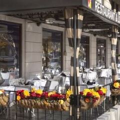Отель Hamilton Hotel Washington DC США, Вашингтон - отзывы, цены и фото номеров - забронировать отель Hamilton Hotel Washington DC онлайн городской автобус