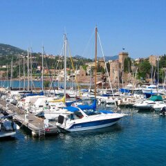 Отель Novotel Suites Cannes Centre Франция, Канны - 10 отзывов об отеле, цены и фото номеров - забронировать отель Novotel Suites Cannes Centre онлайн приотельная территория фото 2