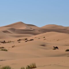 Отель Kasbah Erg Chebbi Марокко, Мерзуга - отзывы, цены и фото номеров - забронировать отель Kasbah Erg Chebbi онлайн приотельная территория