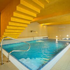 Hotel Lev Ловосице бассейн