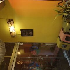 Chilloutlya Hostel&Bar интерьер отеля