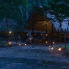 Отель Ella Jungle Resort