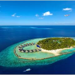 Отель Ellaidhoo Maldives by Cinnamon с домашними животными
