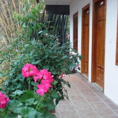 Отель Dang Khoa Sa Pa Garden Вьетнам, Шапа - отзывы, цены и фото номеров - забронировать отель Dang Khoa Sa Pa Garden онлайн