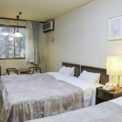 Hakuba Park Hotel Хакуба комната для гостей фото 3