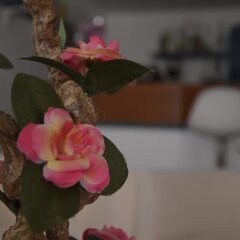 Hotel Fucsia детские мероприятия фото 2