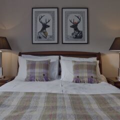 Отель The Edinburgh Castle Suite Эдинбург комната для гостей
