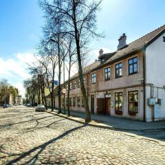 Отель Litinterp Guesthouse Klaipeda Литва, Клайпеда - отзывы, цены и фото номеров - забронировать отель Litinterp Guesthouse Klaipeda онлайн парковка