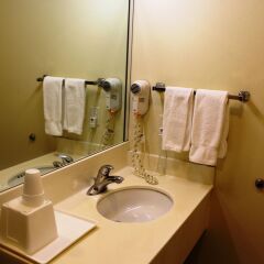 Отель Shalimar Hotel of Las Vegas США, Лас-Вегас - отзывы, цены и фото номеров - забронировать отель Shalimar Hotel of Las Vegas онлайн ванная