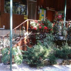 Отель Nimpha Bungalows Варна