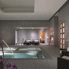 Отель Aria Sky Suites США, Лас-Вегас - отзывы, цены и фото номеров - забронировать отель Aria Sky Suites онлайн бассейн