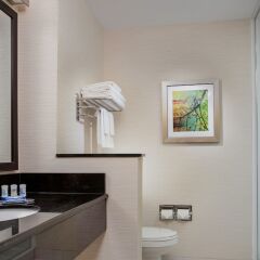 Отель Fairfield Inn & Suites by Marriott Columbus Dublin ванная