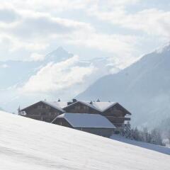 Отель Le Grand Chalet спортивное сооружение