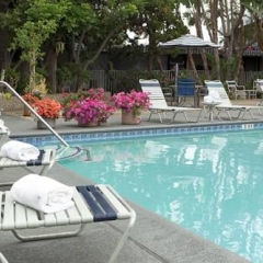 Отель Travelodge Hotel at LAX США, Лос-Анджелес - отзывы, цены и фото номеров - забронировать отель Travelodge Hotel at LAX онлайн бассейн