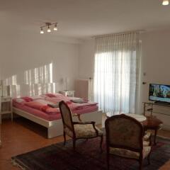 Отель Apartment24 Schonbrunn Австрия, Вена - отзывы, цены и фото номеров - забронировать отель Apartment24 Schonbrunn онлайн комната для гостей фото 2