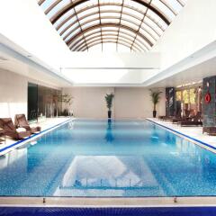 Отель Novotel Ambassador Seoul Gangnam бассейн