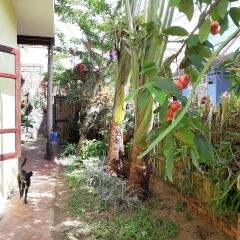 Отель An Bang Sunset Village Homestay фото 8