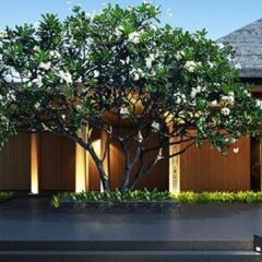Hotel Indigo Bali Seminyak Beach парковка