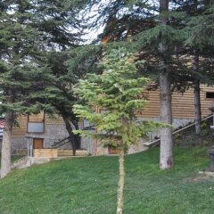 Garden Termal Otel Турция, Болу - отзывы, цены и фото номеров - забронировать отель Garden Termal Otel онлайн фото 10