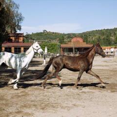 Hotel Berke Ranch&Nature спортивное сооружение